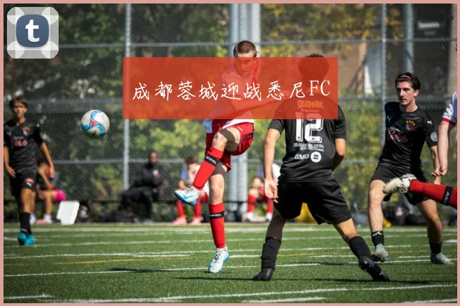 成都蓉城迎战悉尼FC