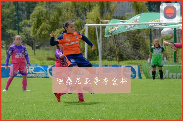 坦桑尼亚争夺金杯
