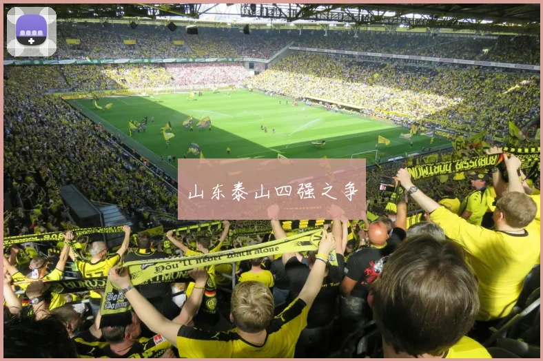 山东泰山四强之争